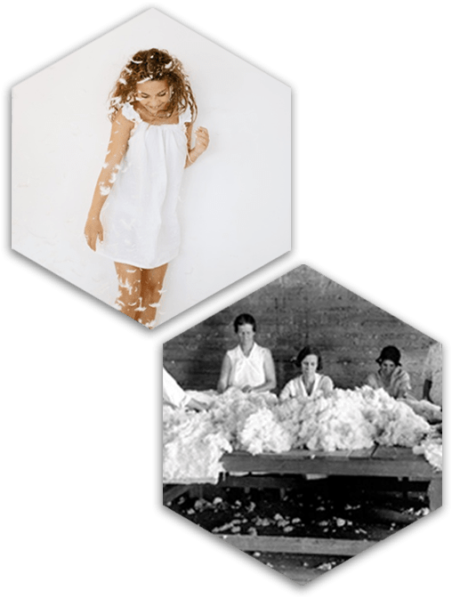 jnt_images jnt_images