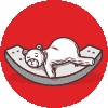 perfect sleep perfect sleep