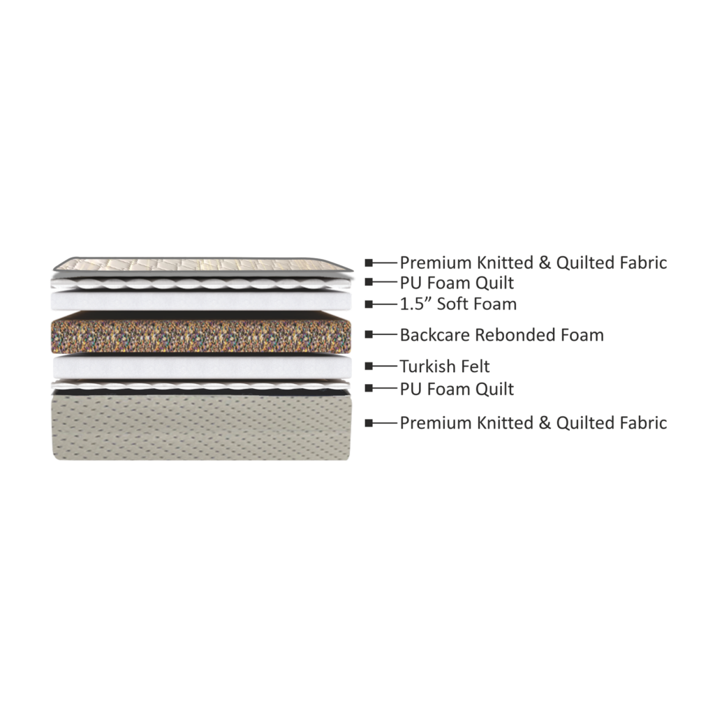 spine fine-6 spine fine-6