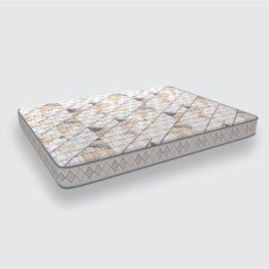 Coirfit DayDream Coir Mattress