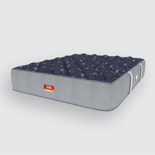 Spine coirfit mattress