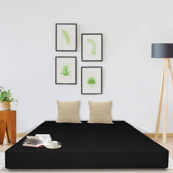 Black sofa cum bed