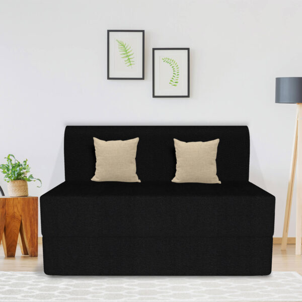 Black sofa cum bed