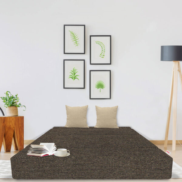 brown sofa cum bed