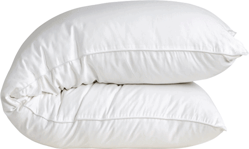 Coirfit Bodymate Fibre Body Pillow