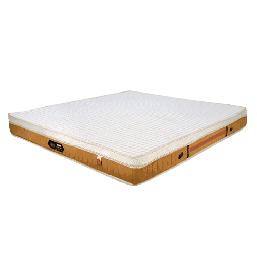 Coirfit Ortho Accuzone Accupressure Mattress