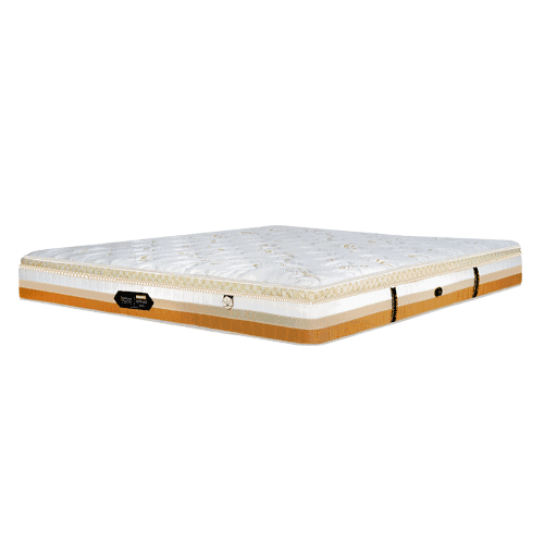 Coirfit Ortho Koil UV Proof Mattress