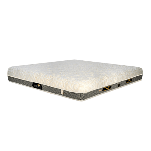 Ortho Resilia Anti Static Mattress