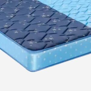 nature fresh coir mattress online