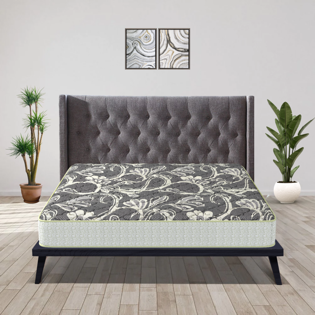 Best Health Plus Mattress for Back Pain and Optimal Back Support Coirfi