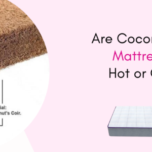 Coirfit Blog Images (5)