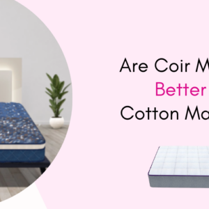 Coirfit Blog Images (10)
