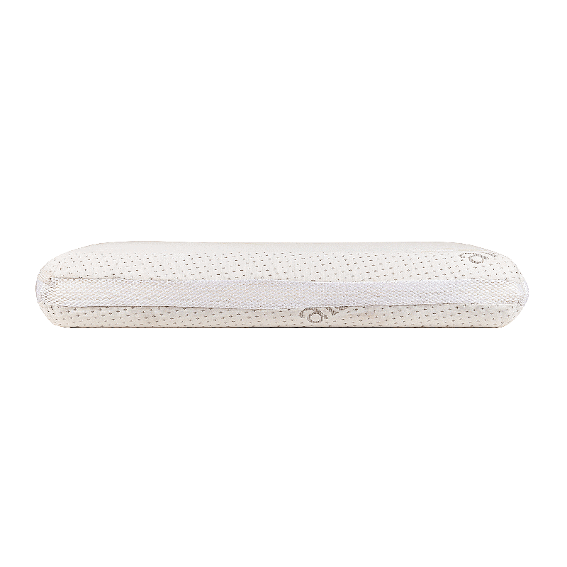 aLOESPA-MEMORY-FOAM-PILLOW-1.png